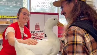 Thumbnail: I took my duck to Michael’s (Arts & Crafts)