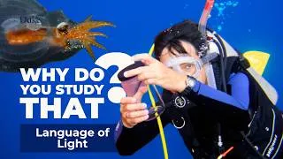 Thumbnail: What Are Deep-Sea Animals Saying? | Why Do You Study That?