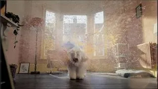Thumbnail: Dulux – Life Is What You Paint It | Official TV Ad