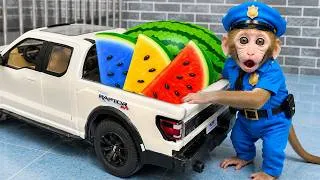 Thumbnail: Bayi monyet KiKi menuai buah di ladang dan menemui surprise eggs