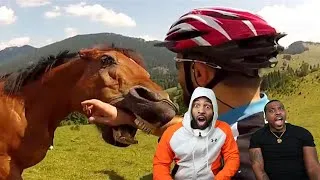 Thumbnail: Animal Encounters But They Get Crazier! 🐴 (Reaction)