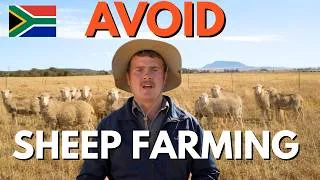 Thumbnail: Avoid Sheep Farming in South Africa unless you watch this