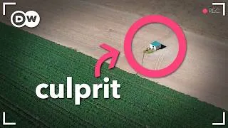 Thumbnail: How greed is turning Spain into a desert