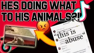 Thumbnail: Exposing a Bad Reptile Keeper ┃Tik Tok Animal Ab*se