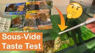 Thumbnail: My Turtle Tries Sous-Vide Insects... | Exo Terra Insects