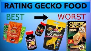 Thumbnail: What Is The Best Crested Gecko Food? | Brand Comparison
