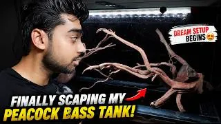 Thumbnail: Finally Scaping My Peacock Bass Tank! 😍 Dream Setup Begins