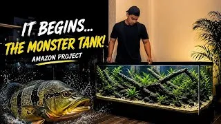 Thumbnail: The Amazon Monster Tank project has officially begun! 🔥🐟