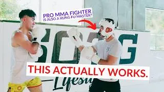 Thumbnail: WING CHUN BOXING TECHNIQUES (SPARRING BREAKDOWN)