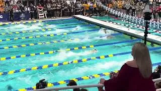 Thumbnail: 2025 TENNESSEE SEC 4-100 free relay NCAA RECORD - CRAZY FINISH