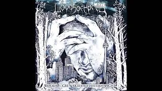 Thumbnail: Woods of Ypres - Finality (Siegfried Meier Mix) [Official Audio]