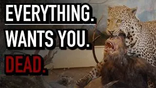 Thumbnail: The Worst Time Period to Have Been an Early Human...