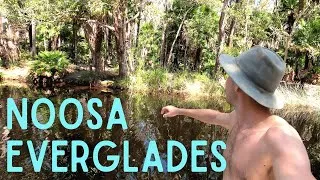 Thumbnail: HIDDEN SUNSHINE COAST OASIS | Exploring the Noosa Everglades - Lake Cootharaba and Upper Noosa River