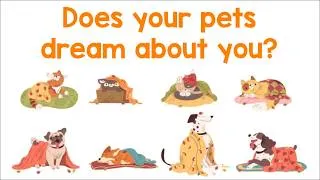 Thumbnail: Does your pet dream about you | Animation