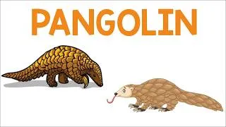 Thumbnail: The Scaly Anteater Pangolin | Animation