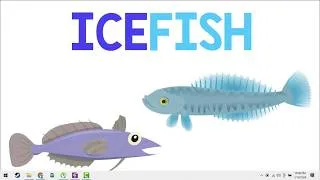 Thumbnail: The Antarctic Icefish | Animation
