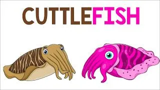 Thumbnail: The Flamboyant Cuttlefish | Animation
