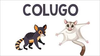 Thumbnail: The Ultimate Glider Colugo | Animation