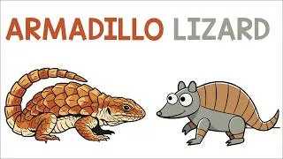 Thumbnail: The Armored Armadillo Lizard | Animation