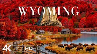 Thumbnail: Wyoming Autumn 4K 🇺🇸🍂 Grand Teton Peaks, Golden Valleys & Wild Mountain Landscapes