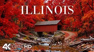 Thumbnail: Illinois Autumn 4K 🇺🇸🍁 Fall Colors, Scenic Forest Roads & Hidden Nature Gems