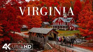 Thumbnail: Virginia Autumn 4K 🇺🇸🍂 Shenandoah Valley, Blue Ridge Trails & Rustic Country Scenery