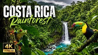 Thumbnail: Costa Rica Rainforest 4k | Happiest Country On Earth With Exotic Wildlife Scenic Relaxation Film