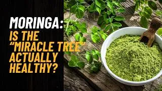 Thumbnail: Moringa: Is the “Miracle Tree” Actually Healthy?
