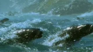 Thumbnail: THE MYTHIC CALL MUSIC VIDEO TO FANTASTIC SCENERY