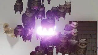 Thumbnail: Twisted Gallery (PC) - OIIA Cat Easter Egg