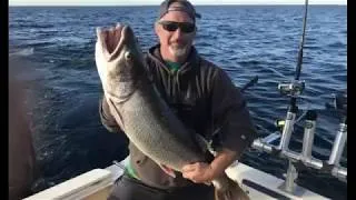 Thumbnail: Biggest lake trout ever on my boat!!!! Fish of a lifetime!!!