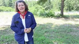 Thumbnail: Best Okra Fertilizing Tips, Peppers and Growing Goat Kids
