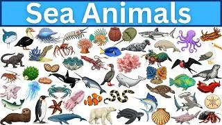 Thumbnail: Master Ocean Vocabulary: Every Sea Animal You Need to Know🦪🦑🐡
