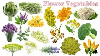 Thumbnail: Flower Vegetables Name | Flower Vegetables Name In English | Vegetables |Easy EnglishLearningProcess
