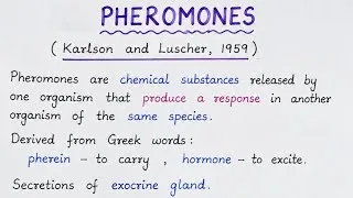 Thumbnail: Pheromones | Types | Classification | Advantages and disadvantages, Easy and Handwritten notes #fyp 