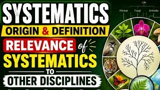 Thumbnail: Systematics: Origin, Definition & Relevance to Other Disciplines | Biology Explained #fyp 