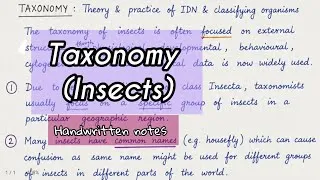 Thumbnail: Taxonomy (of insects) Handwritten Notes | Easy notes| Msc. Zoology #fyp