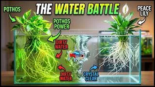 Thumbnail: Pothos vs Peace Lily: The Ultimate Aquarium Cleaning Battle! (Unexpected Winner)