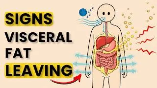 Thumbnail: 3 Signs Your Visceral Fat Is Starting to Leave (It's NOT What You Think)