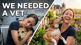 Thumbnail: Flying To France With Dogs: Everything You Need To Know