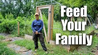 Thumbnail: She Feeds Her Whole Neighborhood From a Suburban Backyard (Regenerative Farm Tour)