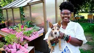 Thumbnail: She Started Her Urban Farm With $50...Now She Sells Honey, Eggs & Produce