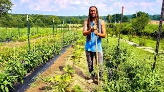 Thumbnail: Day in the Life of a Farmer: Behind The Scenes of the Farmers' Market