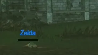 Thumbnail: @QuinBoBin 's Playthrough of Age of Calamity but it's just Zelda getting annihilated