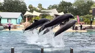 Thumbnail: Dolphins: Touch the Sky (Full Show) - SeaWorld Orlando - June 23, 2026
