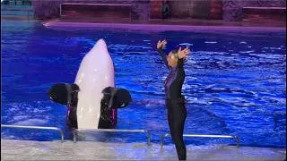 Thumbnail: Light Up the Night (Full Show) - SeaWorld Orlando - July 27, 2026