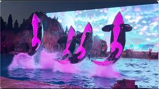 Thumbnail: Shamu's Celebration: Light Up the Night (Full Show) - SeaWorld San Diego - July 12, 2026