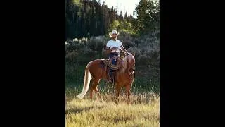 Thumbnail: Post Malone - Closely (official video)