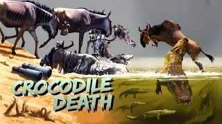 Thumbnail: One Wrong Jump… Maasai Mara’s Wildebeest & Zebras Face Crocodile Death