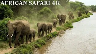 Thumbnail: Relaxing African Safari in 4K | 30 Minutes of Peaceful Wildlife & Nature Sounds